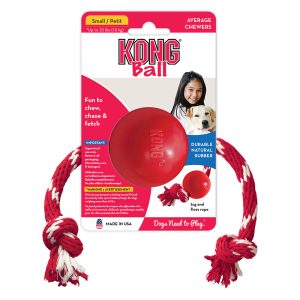 Interactive Rubber Toys