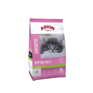 Arion - Original Cat Kitten